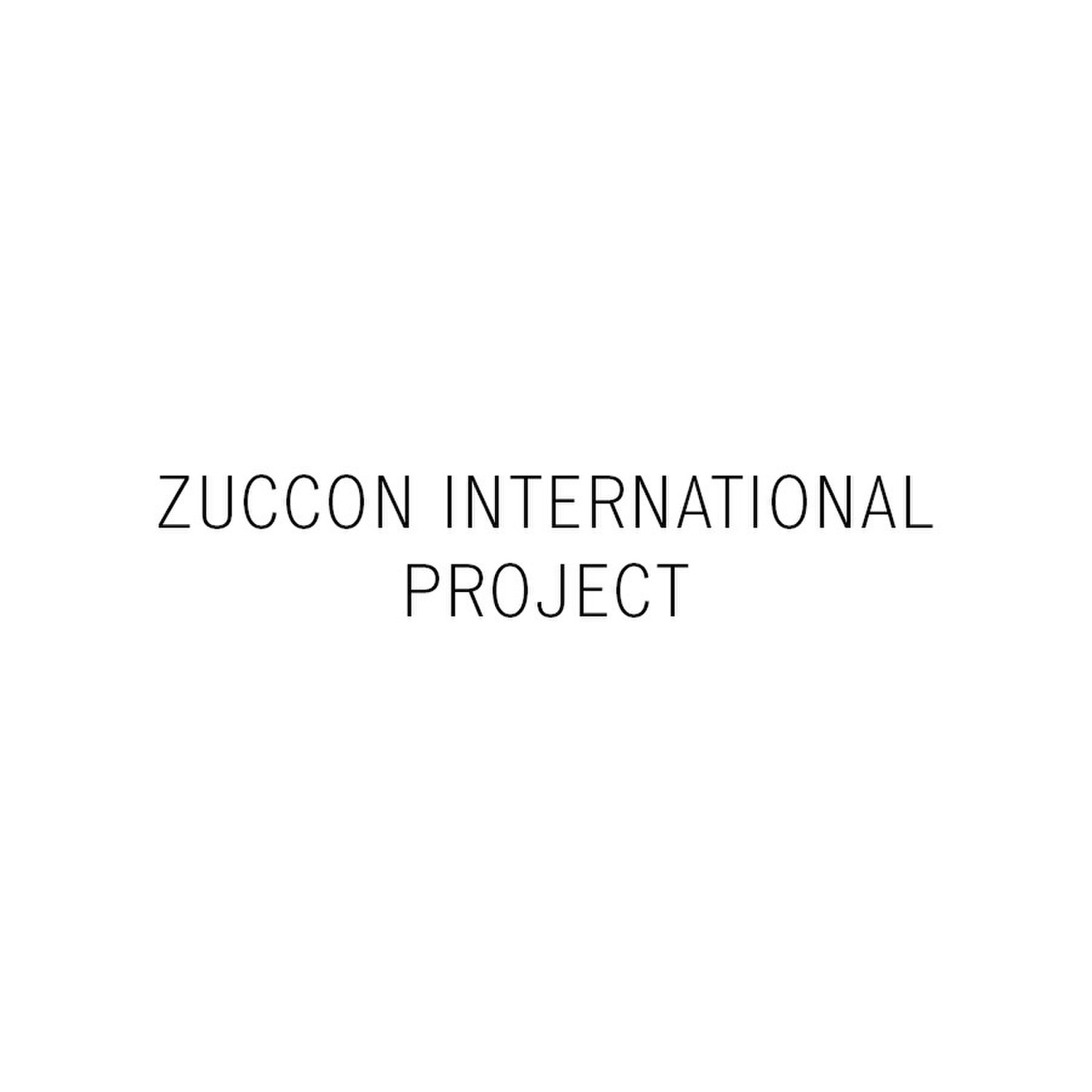 zuccon international project