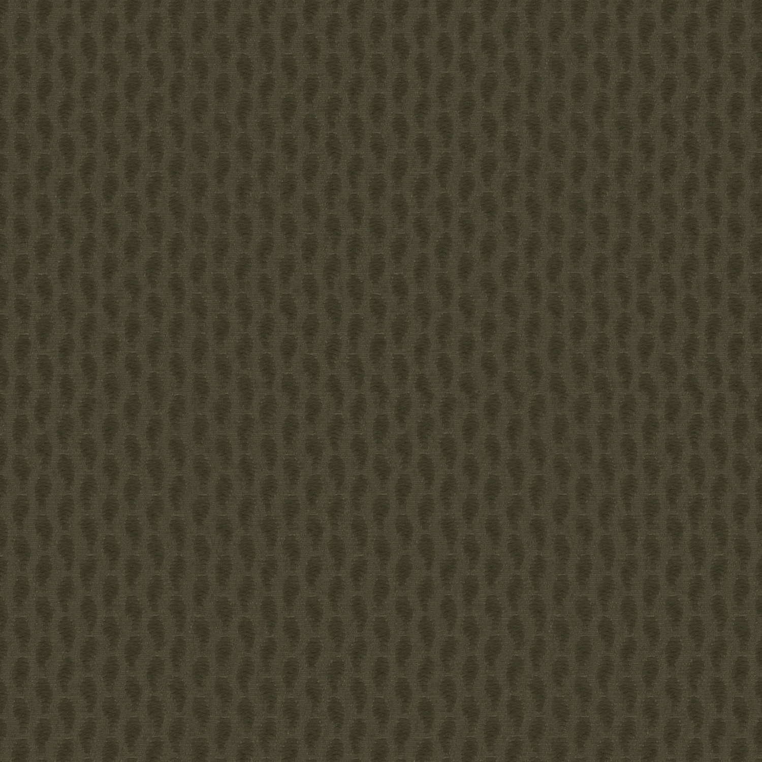 BOTÈ | A CATEGORY MOSS