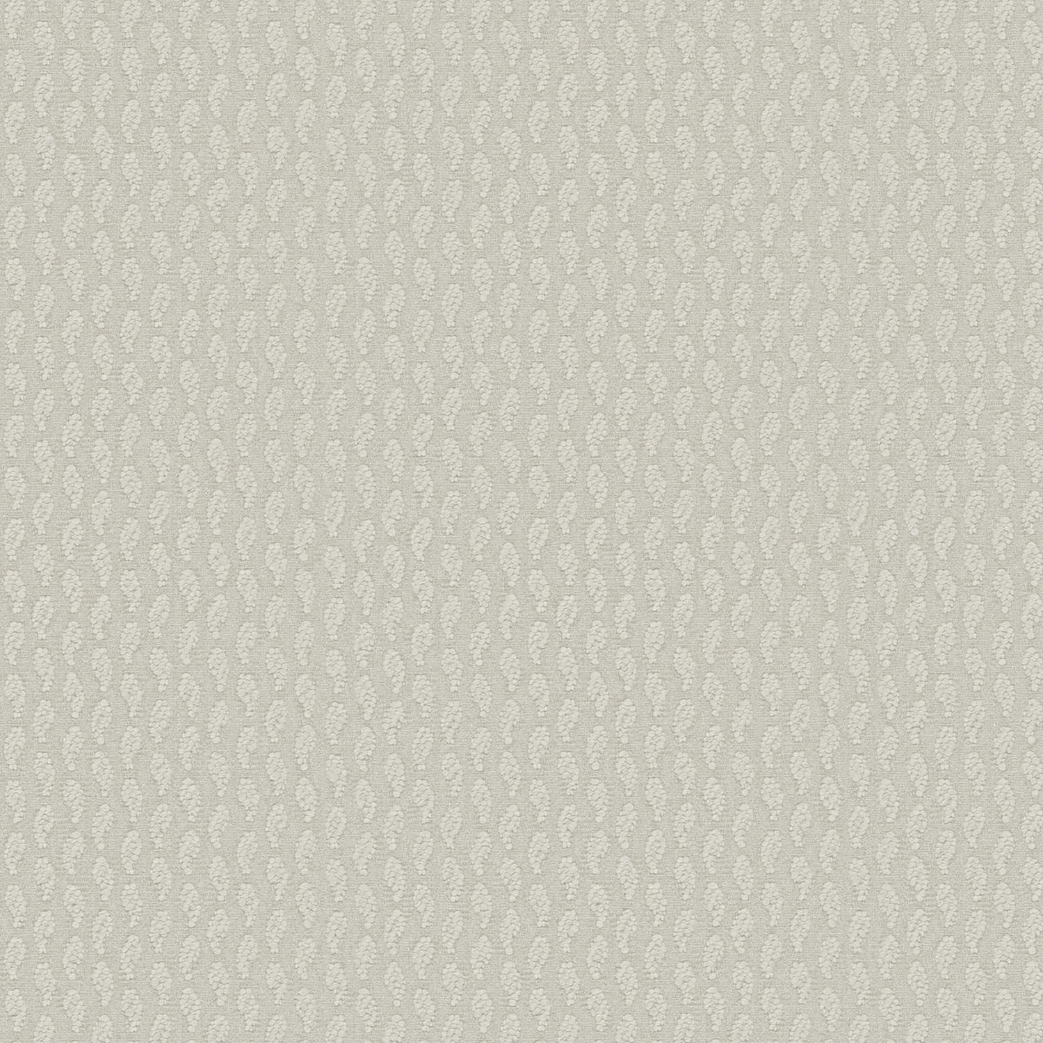 BOTÈ | A CATEGORY SILVER BIRCH