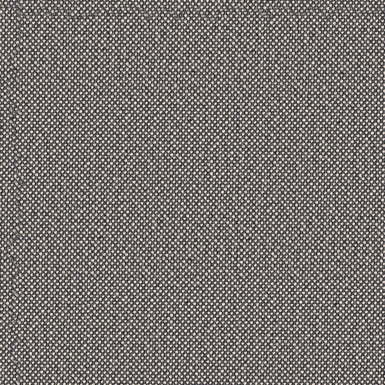 BOUCLE | C CATEGORY 104