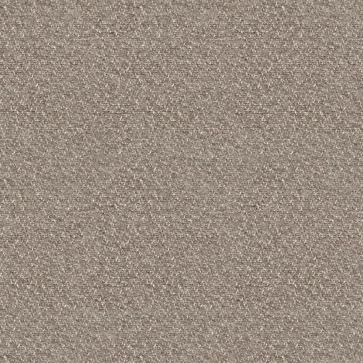 GABAN | B CATEGORY 5403