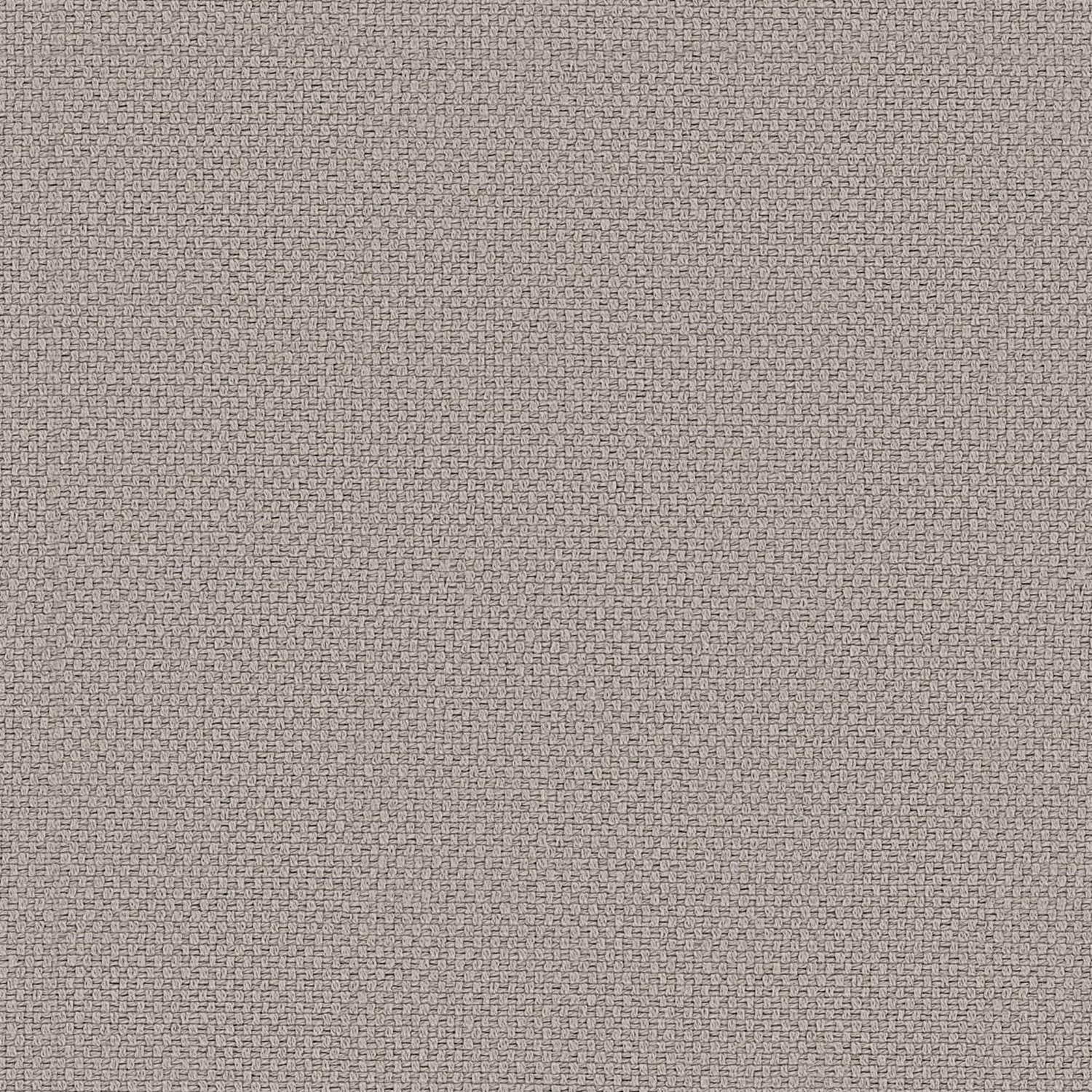 GUATEMALA | B CATEGORY GRIGIO