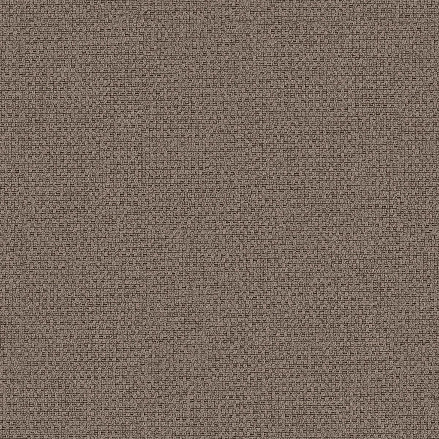 GUATEMALA | B CATEGORY CASTORO