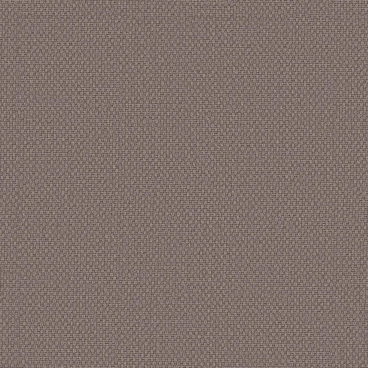 GUATEMALA | B CATEGORY SUGHERO