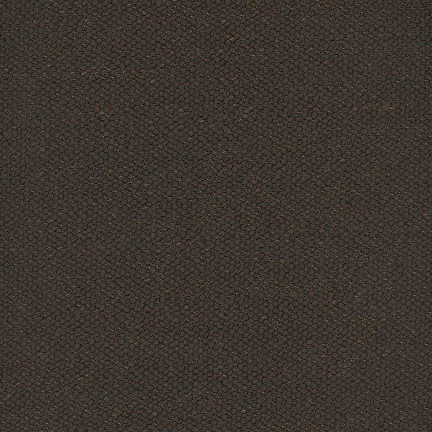 KALAHARI | C CATEGORY COCOA