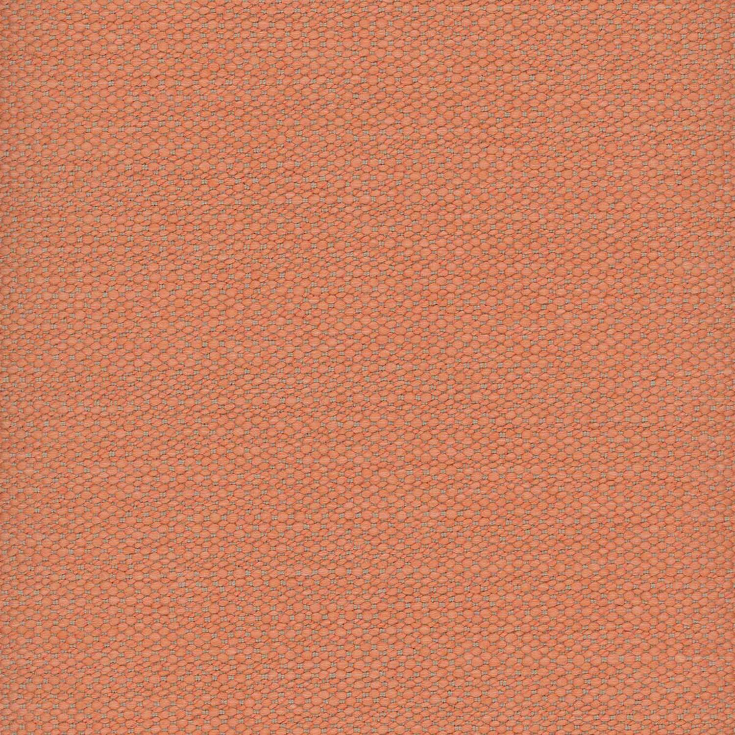 KALAHARI | C CATEGORY CORAL