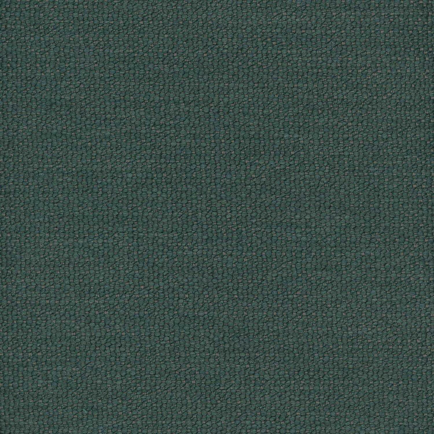 KALAHARI | C CATEGORY FOREST