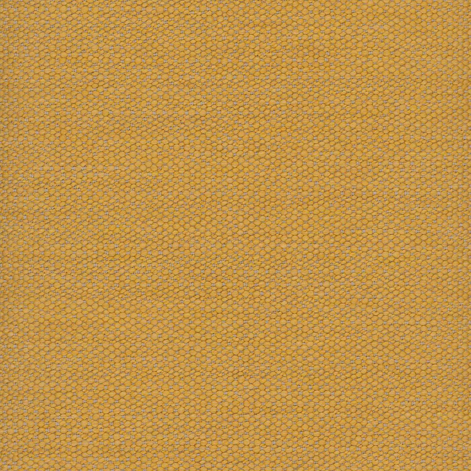 KALAHARI | C CATEGORY GOLD