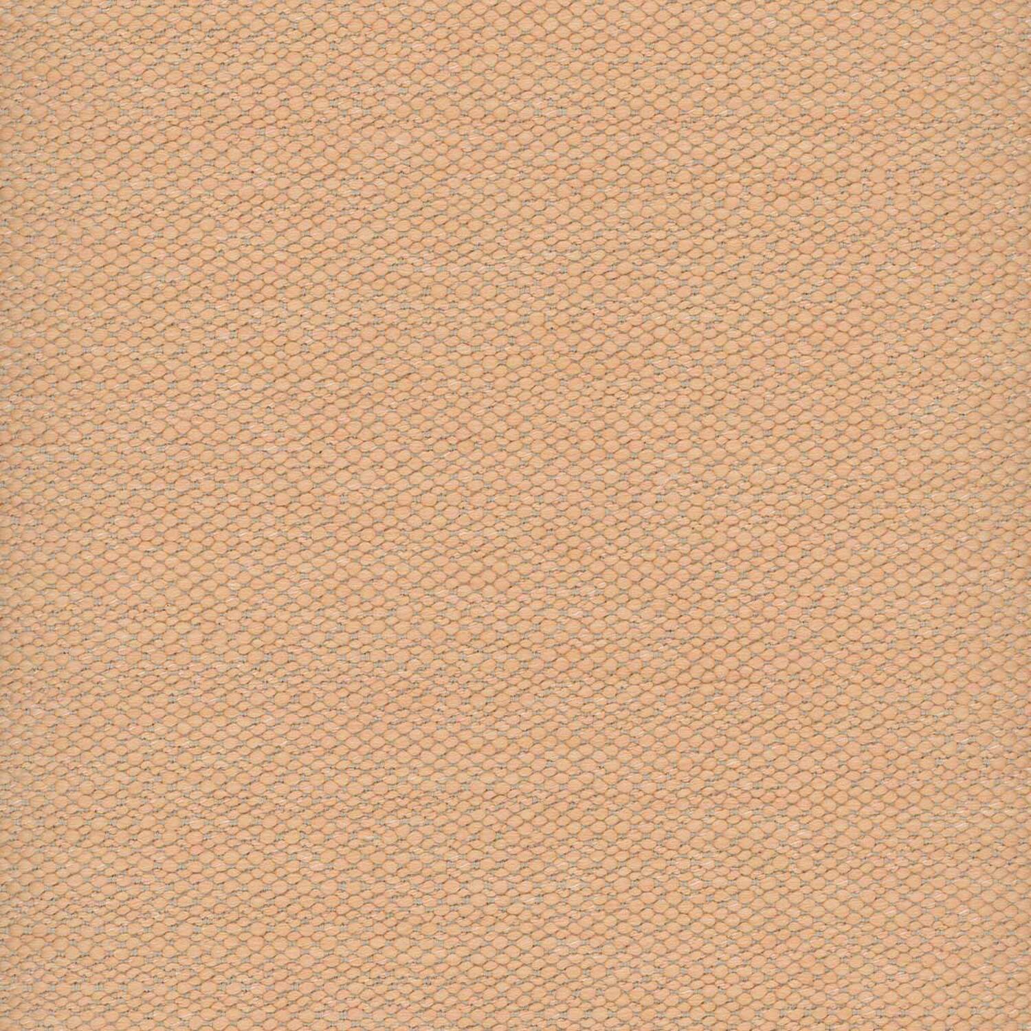 KALAHARI | C CATEGORY SALMON