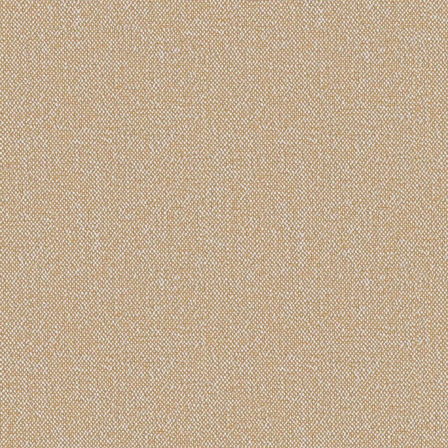 LINAIRE | CATEGORY A OCRE