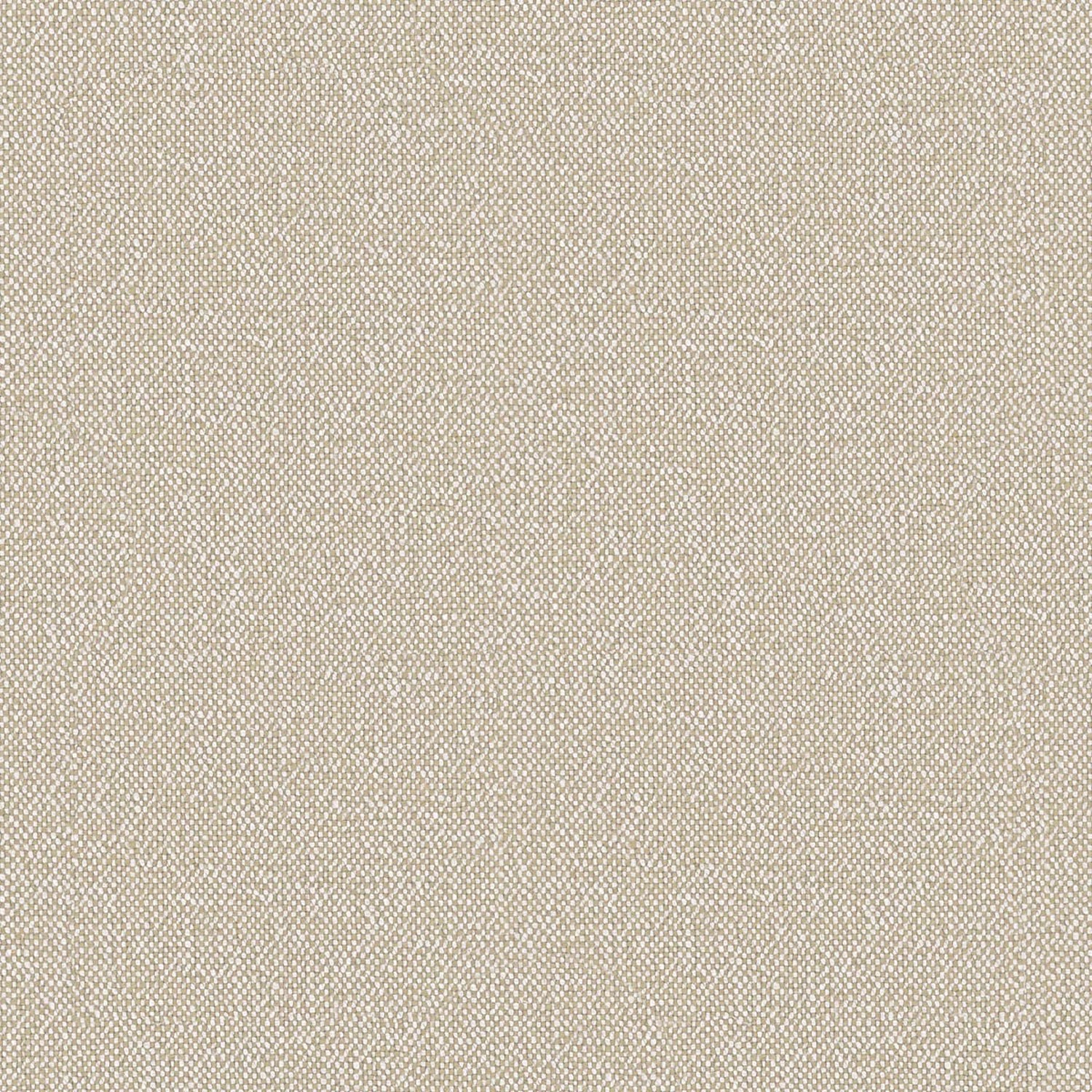 LINAIRE | CATEGORY A PARCHEMIN