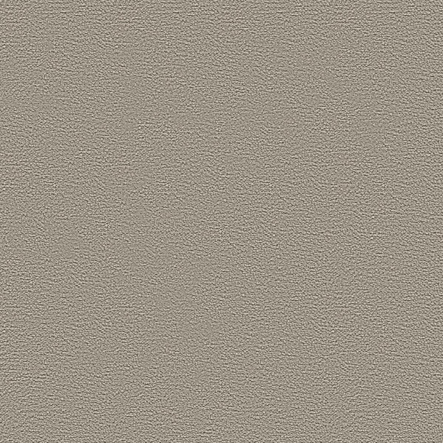 LOOP | CATEGORY B 02 CORDA