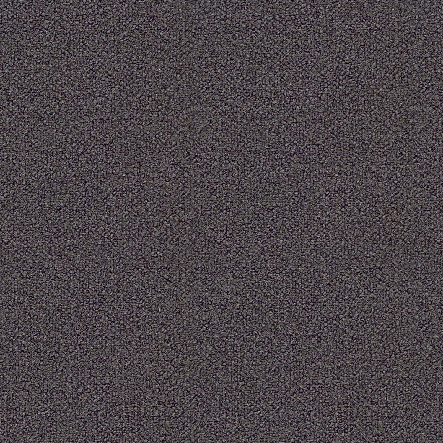 LOOP | CATEGORY B BLU