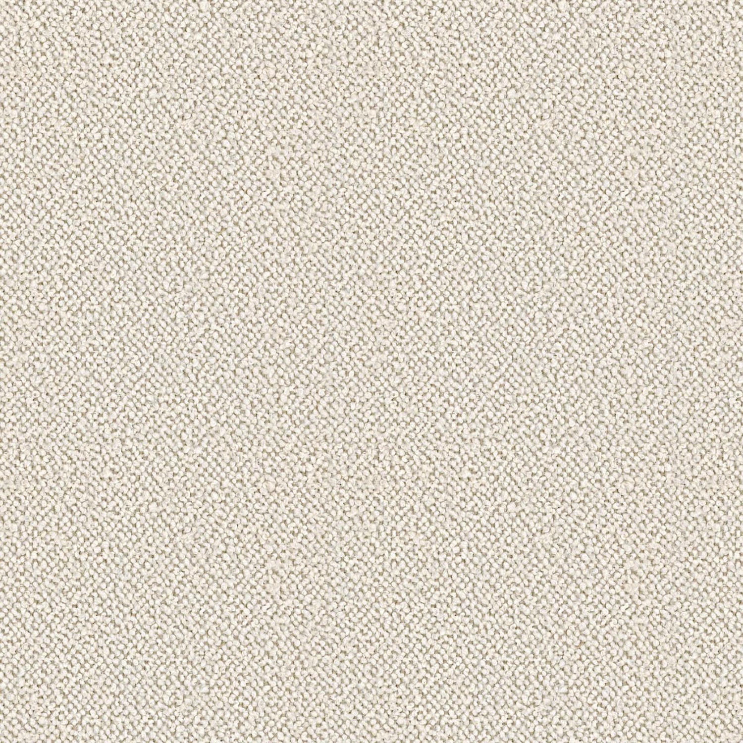 LOOP | CATEGORY B GREGGIO