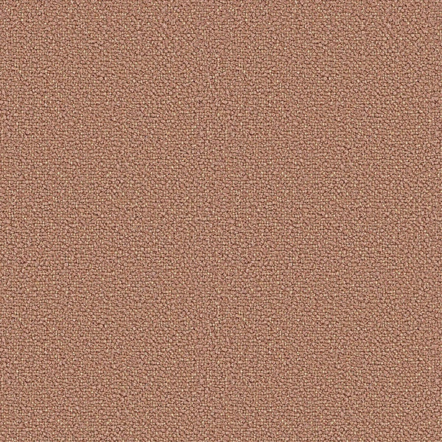 LOOP | CATEGORY B MARRONE