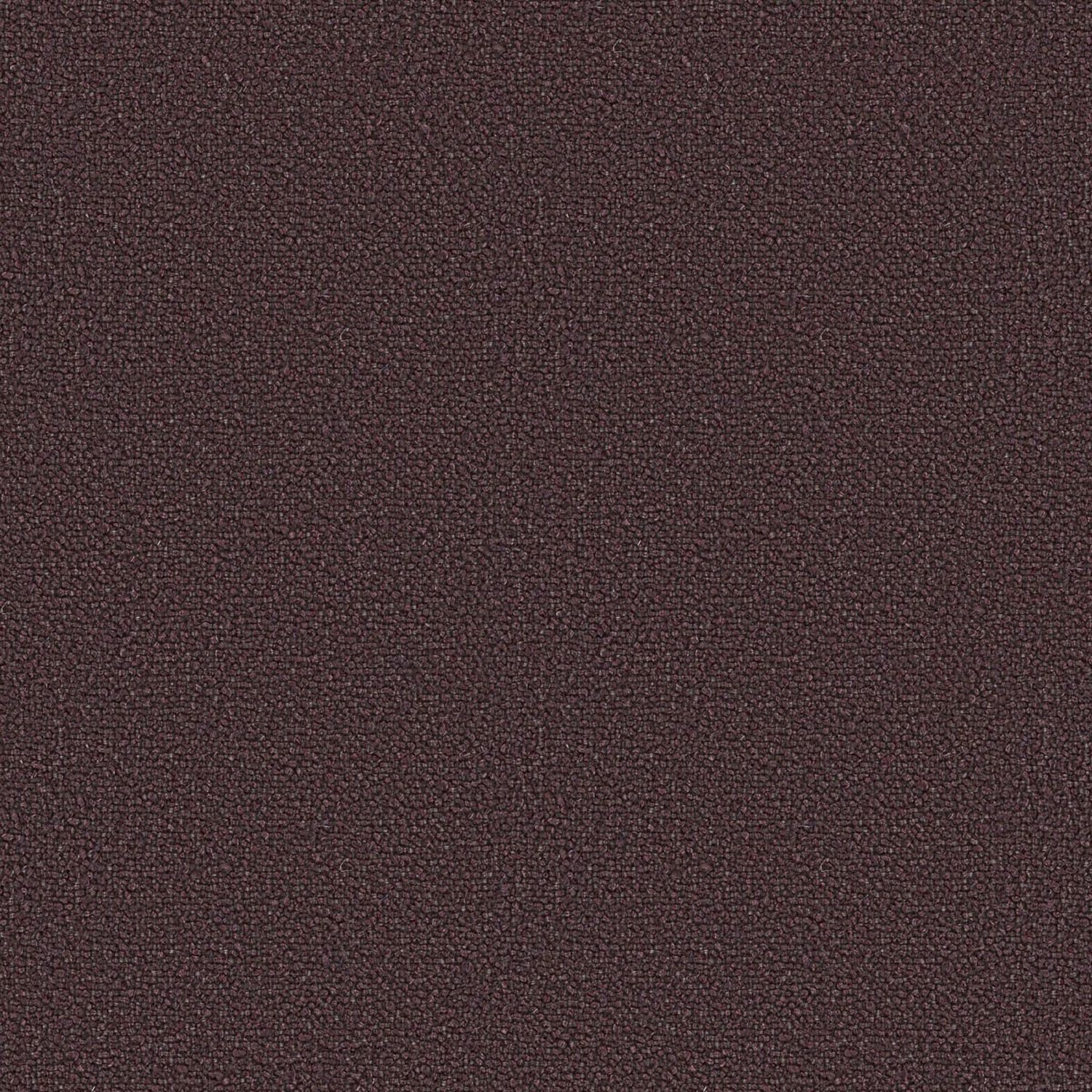 LOOP | CATEGORY B PRUGNA