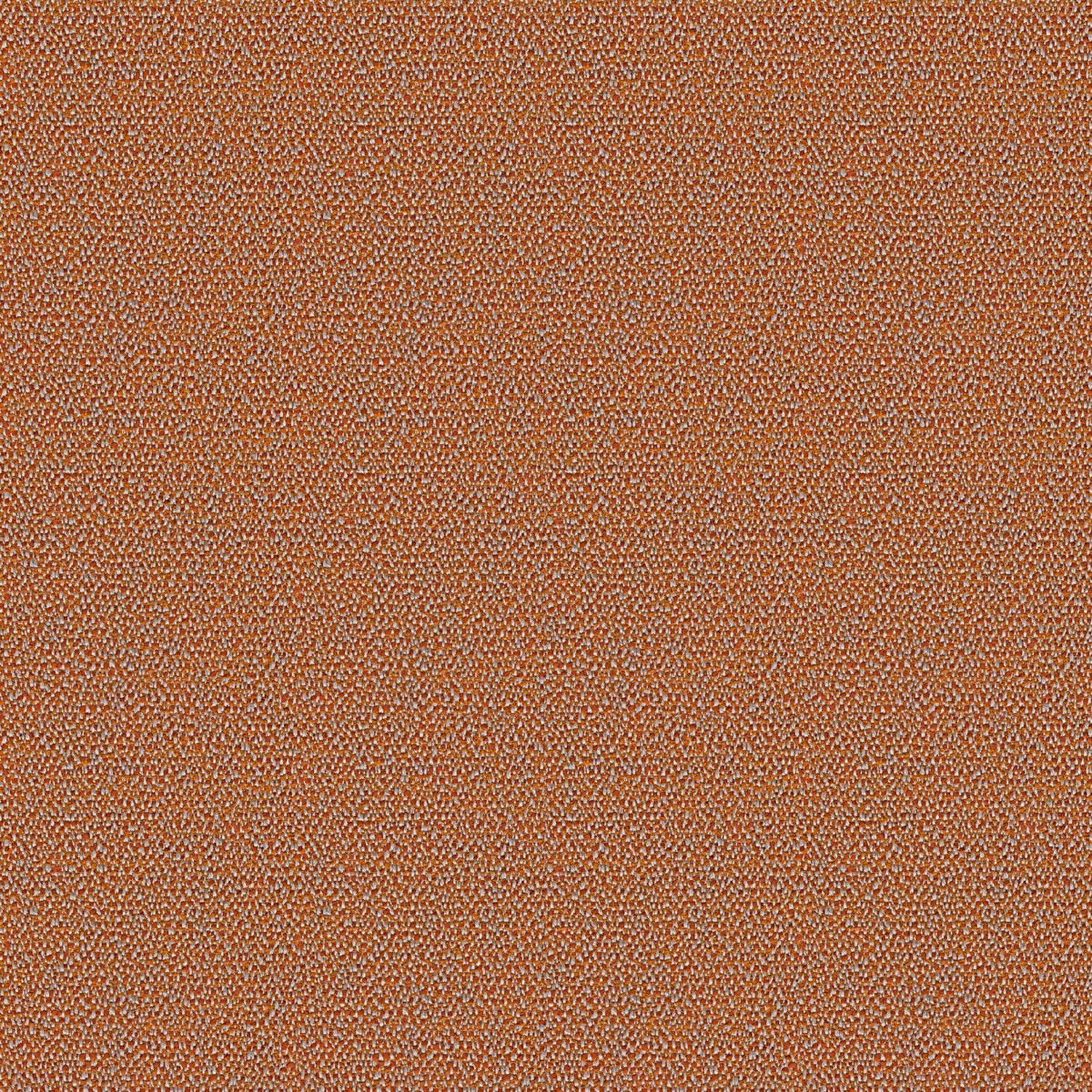 MELANGE | B CATEGORY RAME