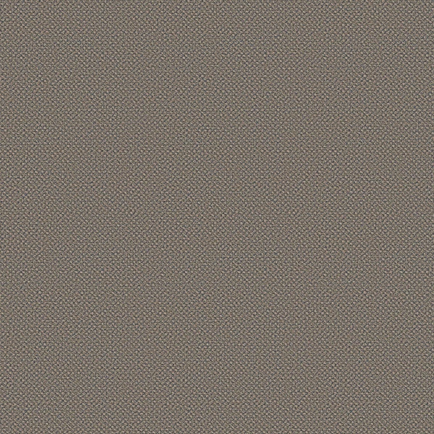 MESH | B CATEGORY 1 BEIGE