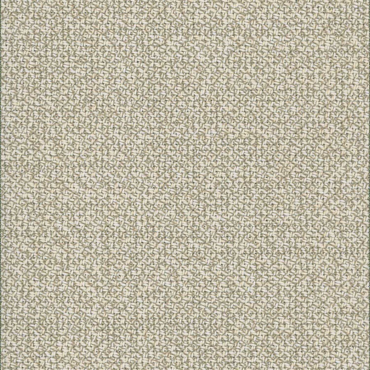 MESH | B CATEGORY 5 NATURALE