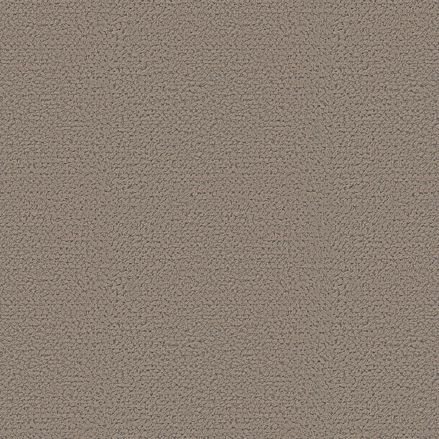 MOLLIS | B CATEGORY DUNE