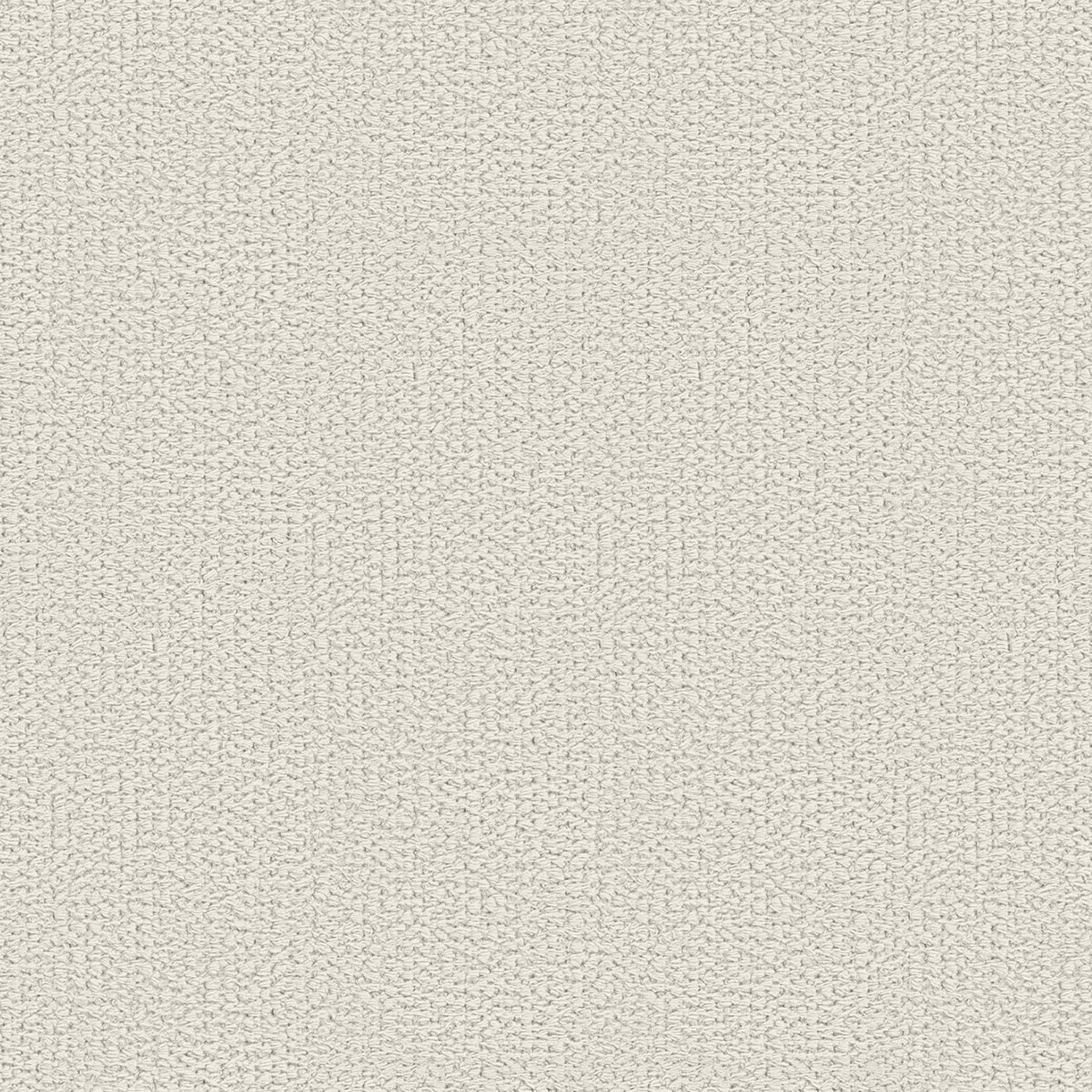 MOLLIS | B CATEGORY FOG