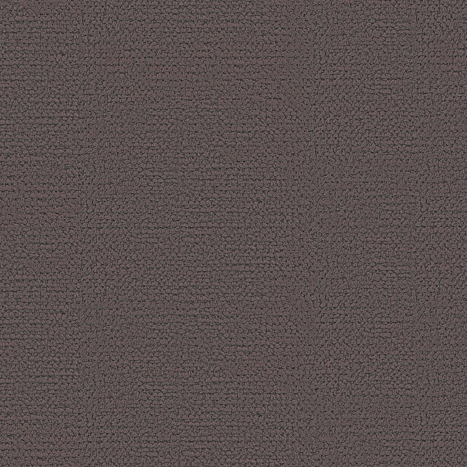 MOLLIS | B CATEGORY TRUFFLE