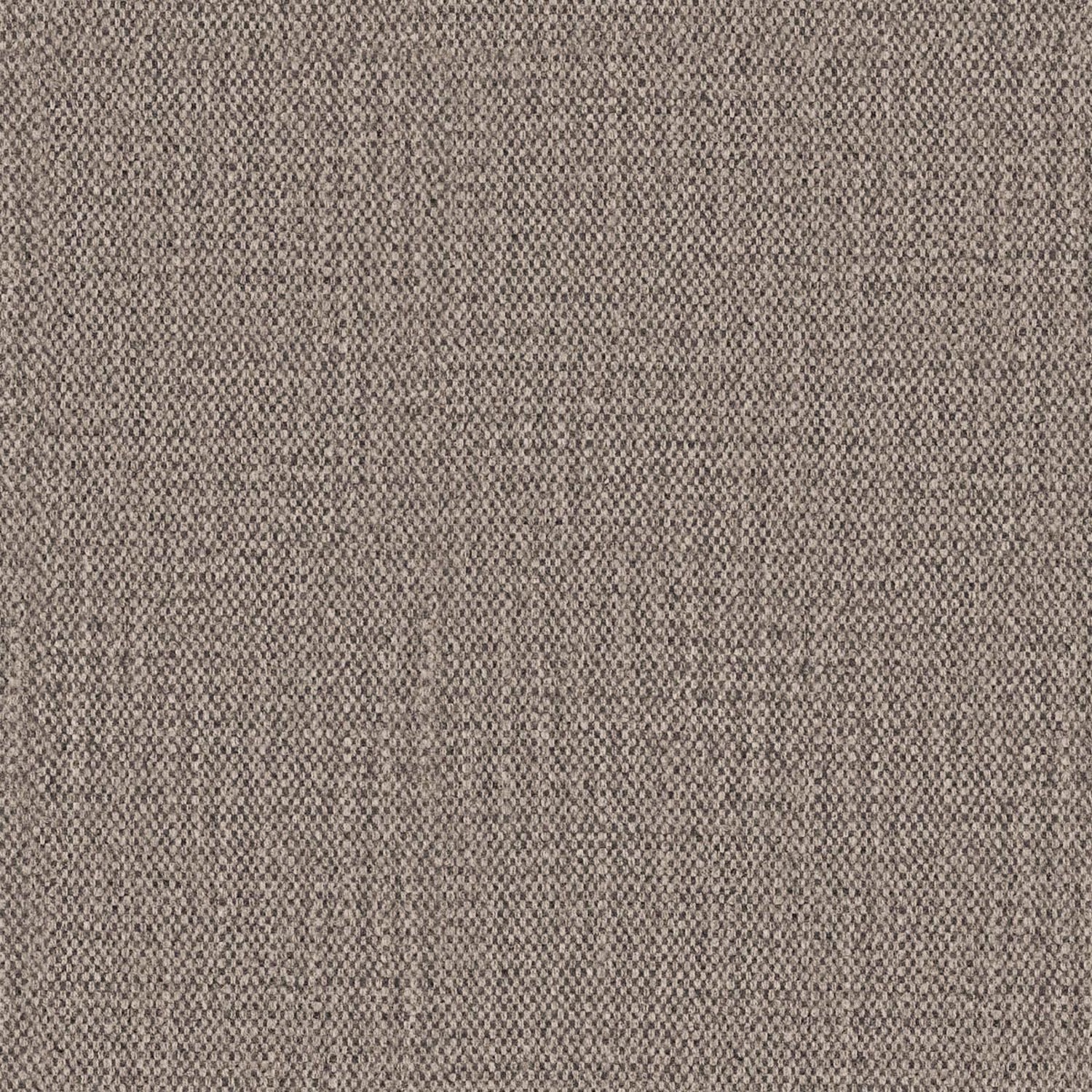 PALTO | A CATEGORY TESTA DI MORO 10