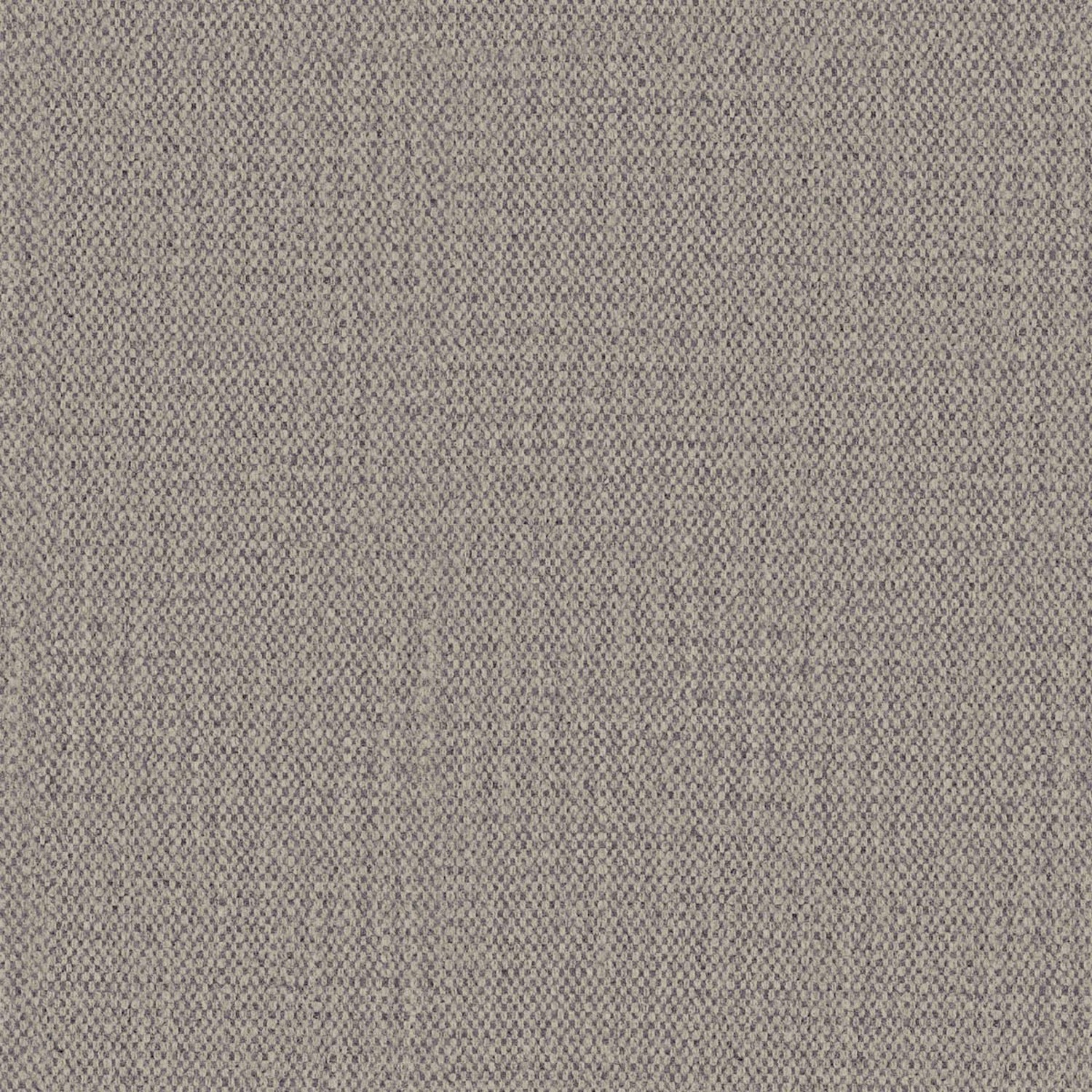 PALTO | A CATEGORY TOPO 13