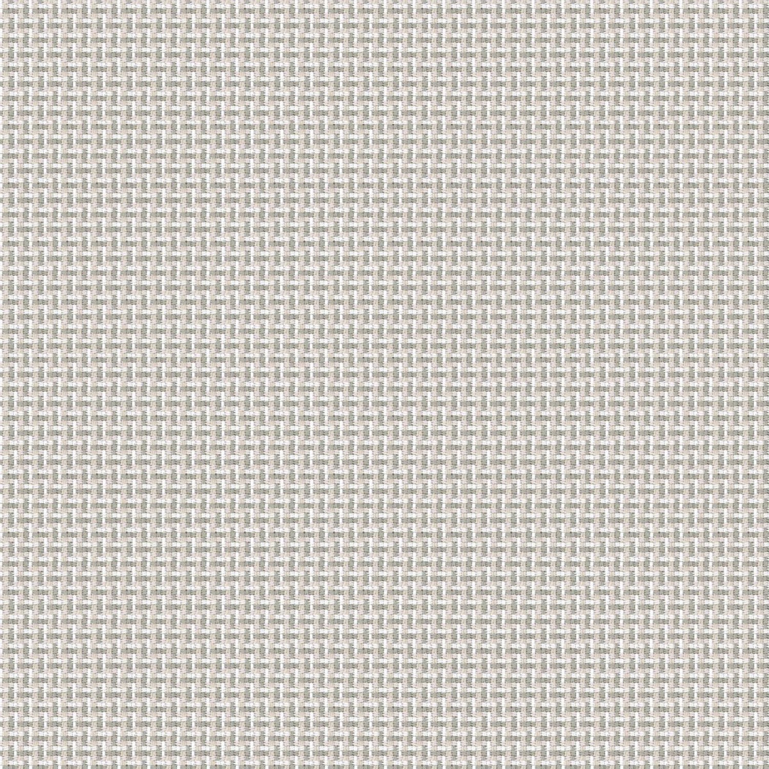 RE-STIJL | CATEGORY C FROZEN WHITES