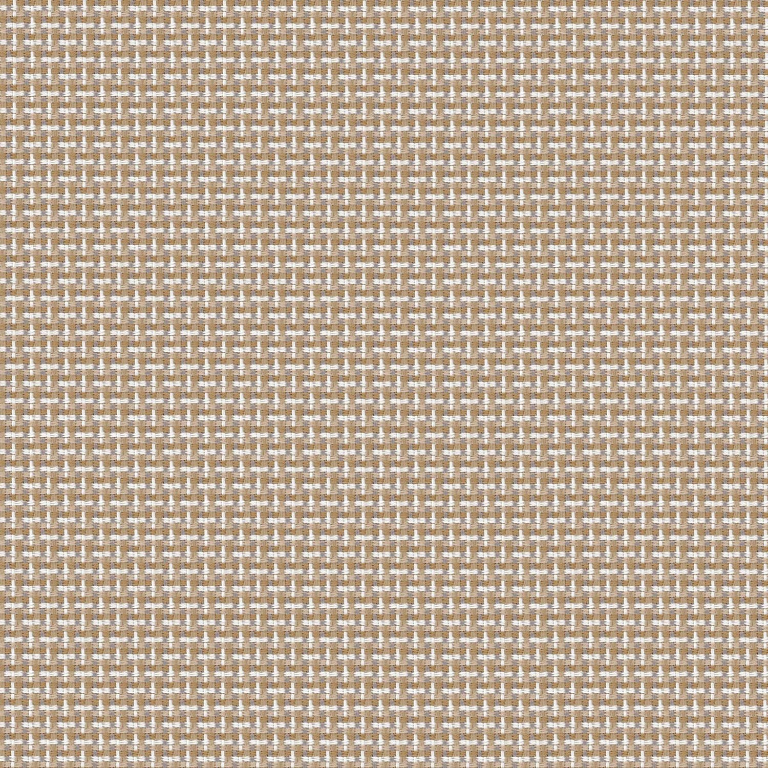 RE-STIJL | CATEGORY C BLONDE WOODS