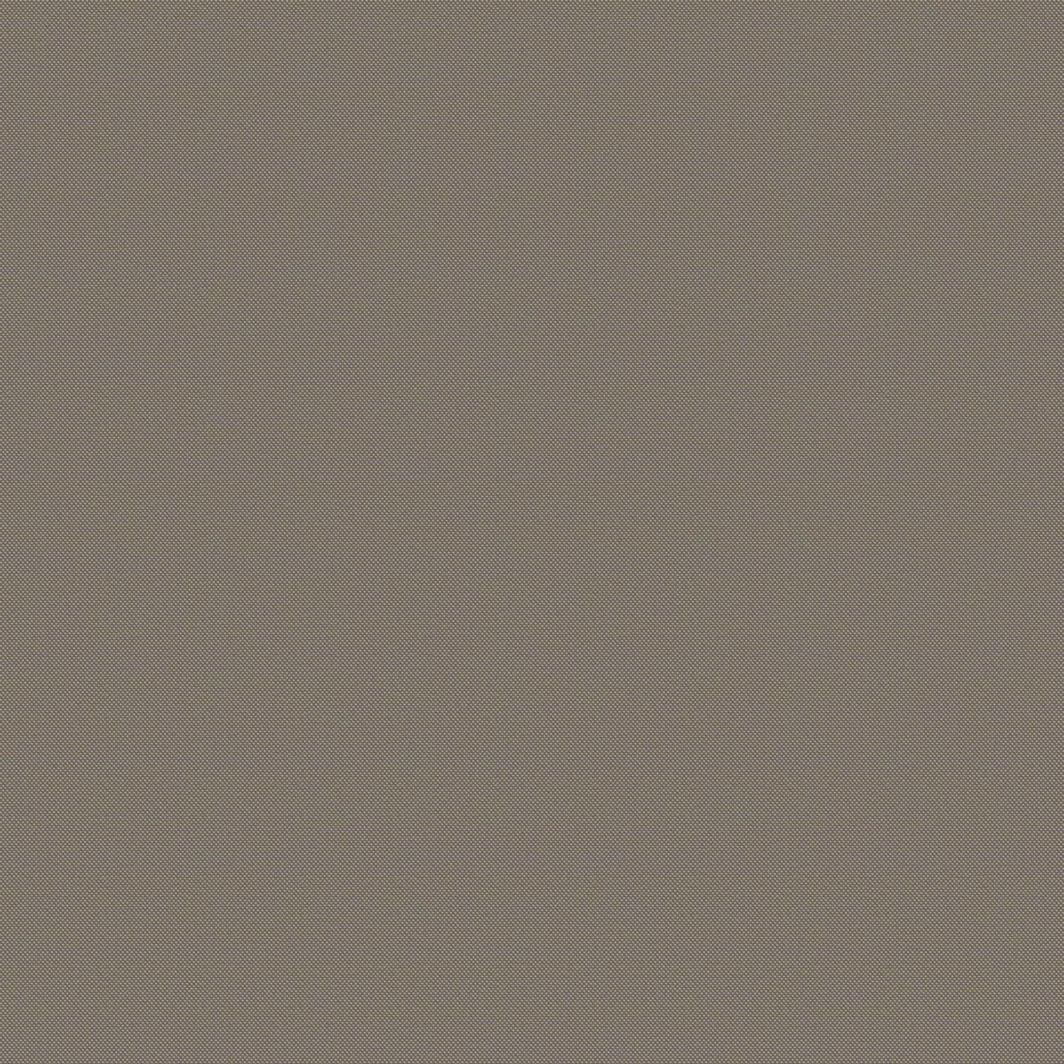 SAIL | CATEGORY B 67 BEIGE