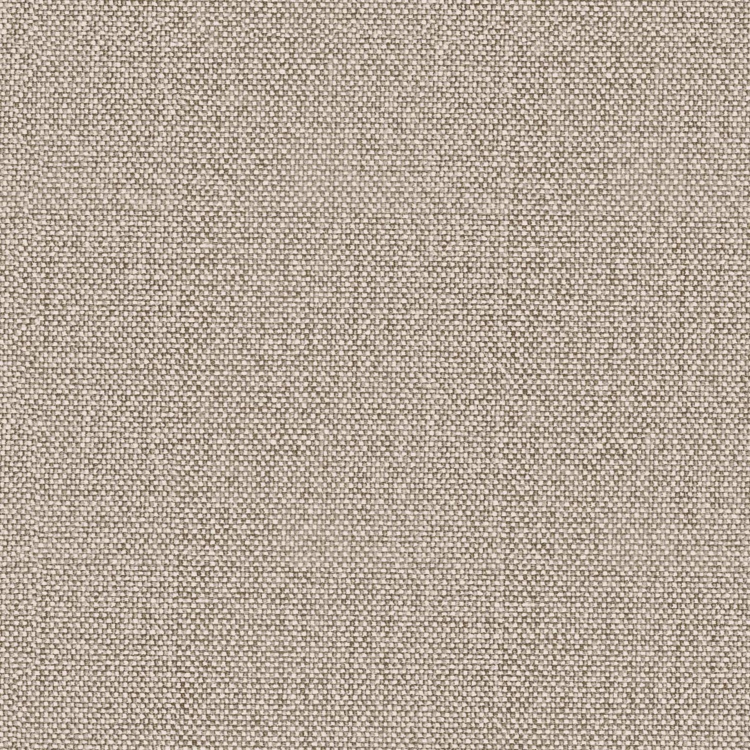 SHINE | CATEGORY B BEIGE