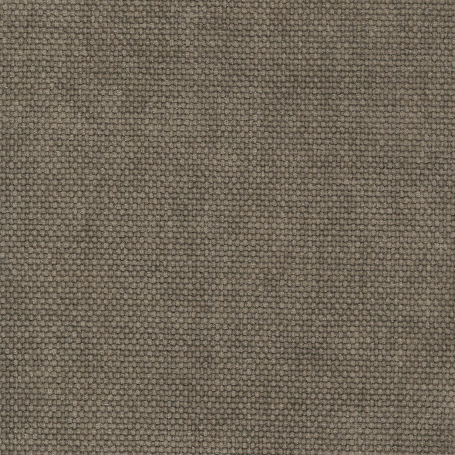 SHINE | CATEGORY B DUSTY TAUPE