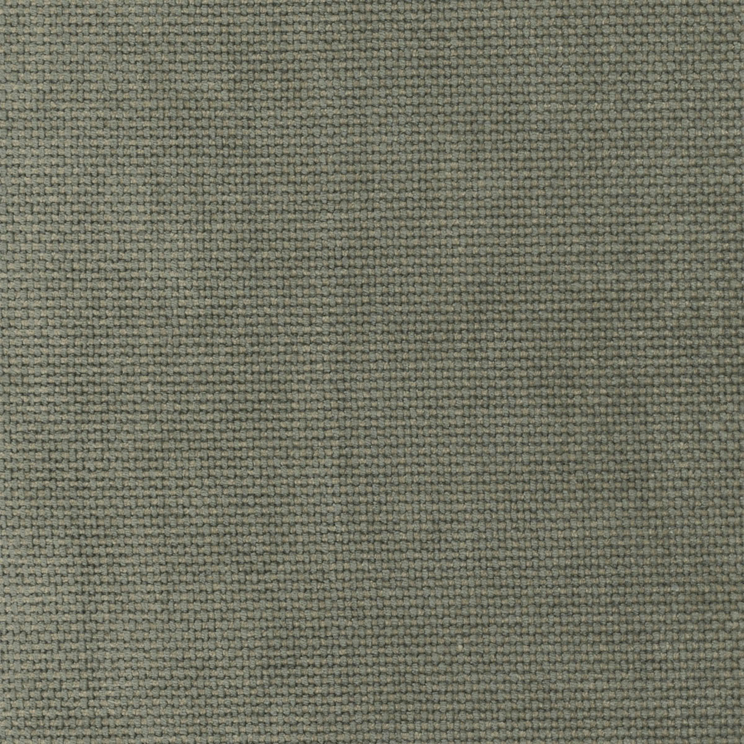 SHINE | CATEGORY B EARTHY OLIVE