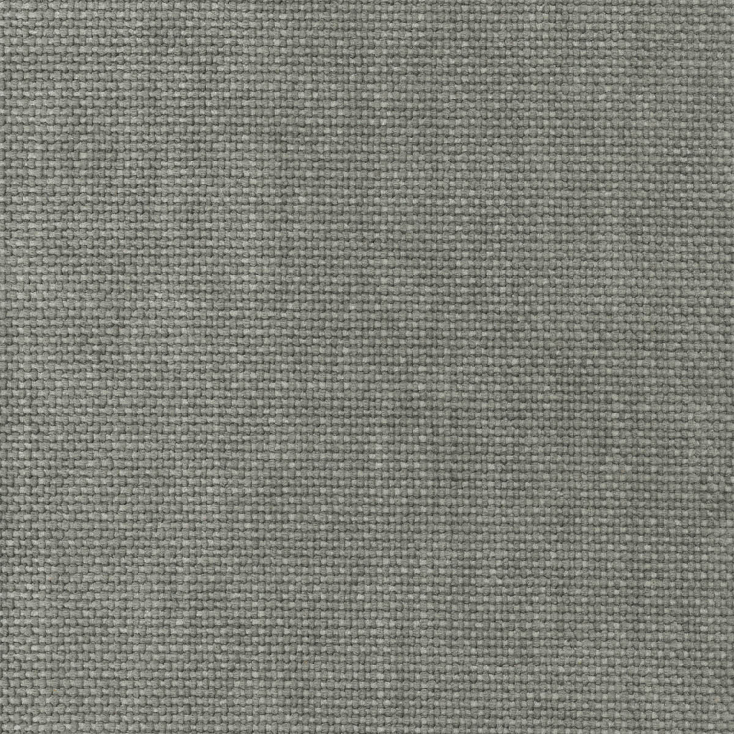 SHINE | CATEGORY B GRAY