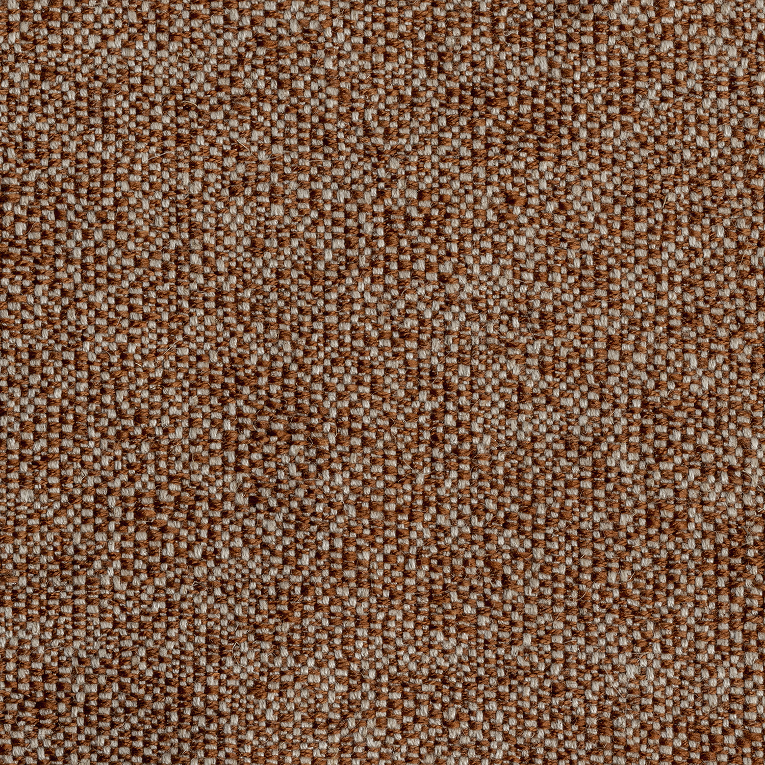 SOPHORA | B CATEGORY RUGGINE