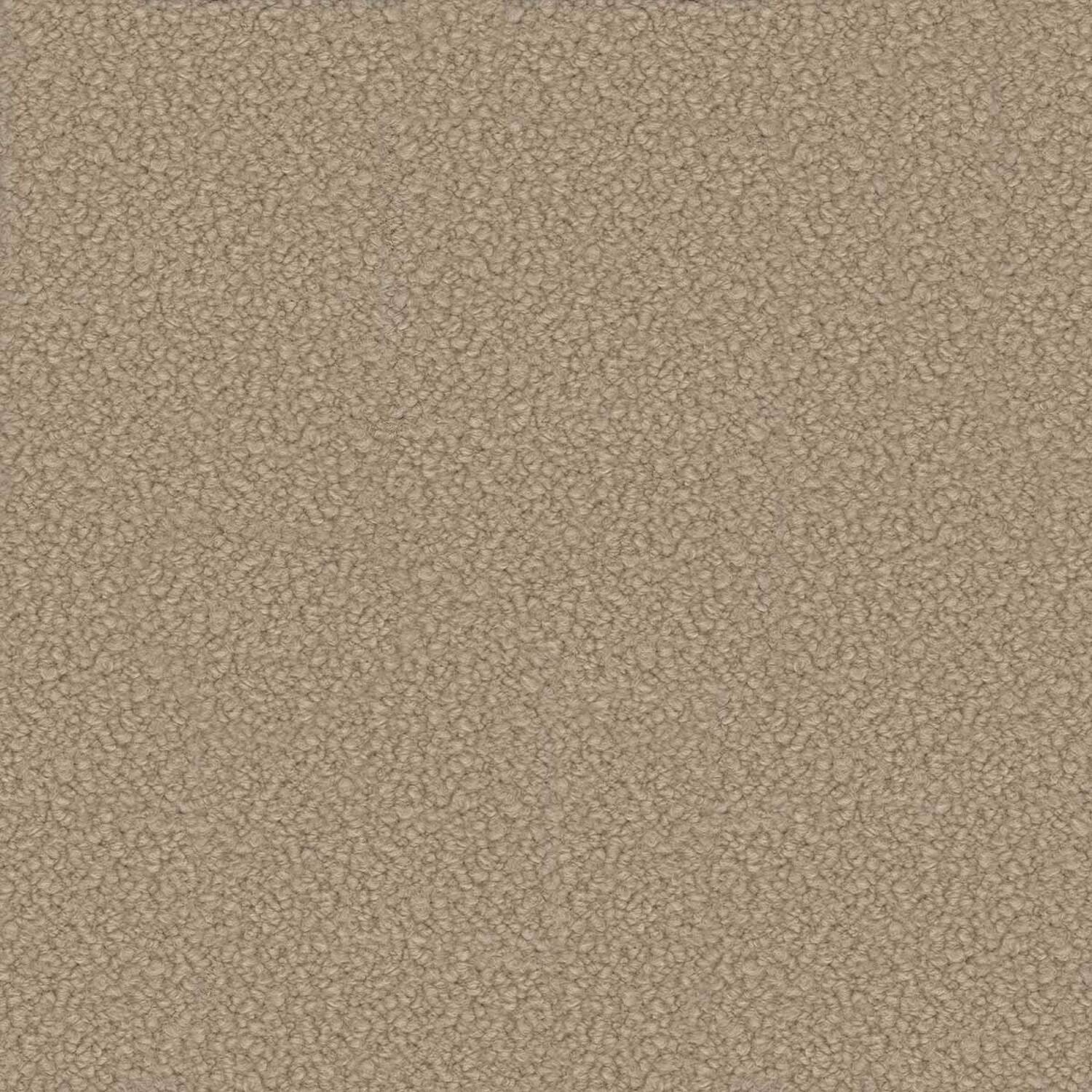 SURI | A CATEGORY BEIGE