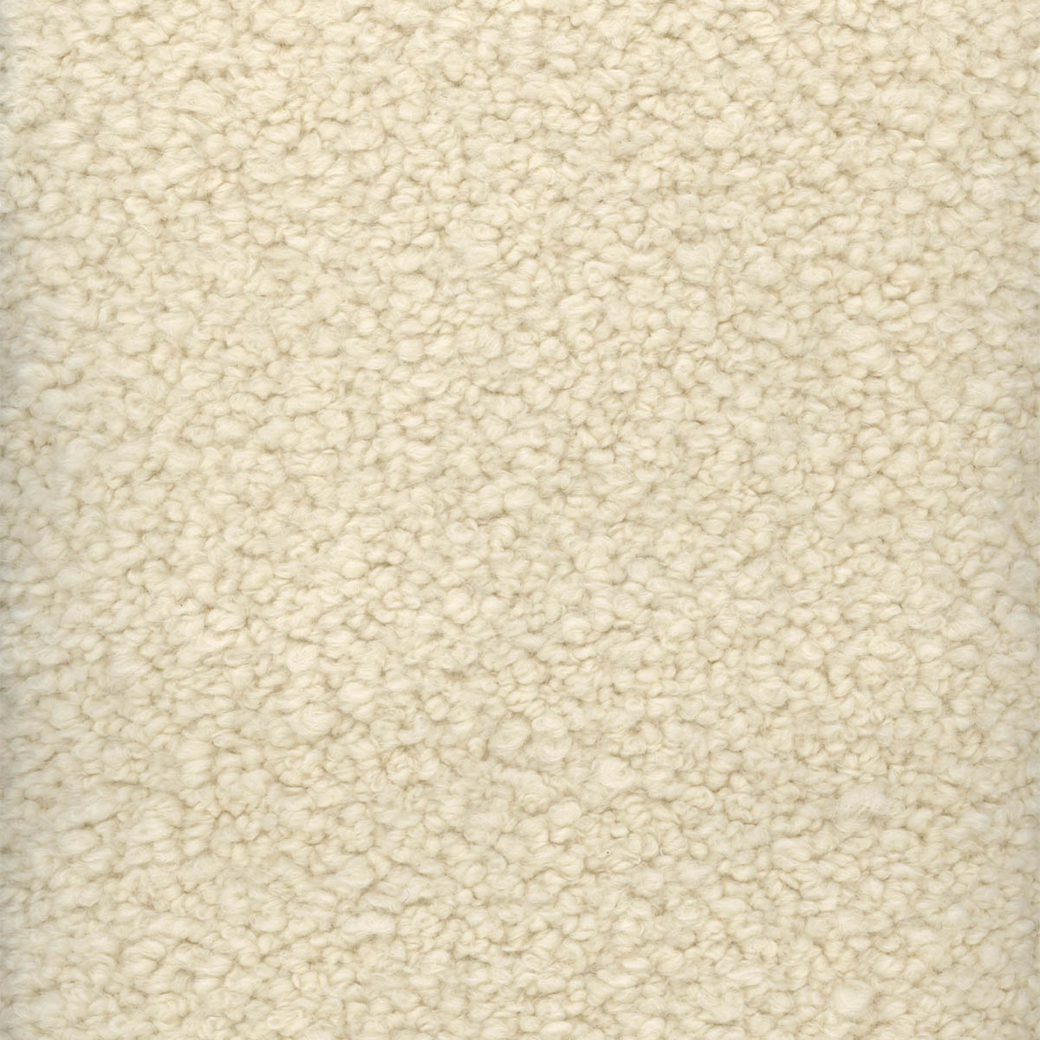 SURI | A CATEGORY BUTTER