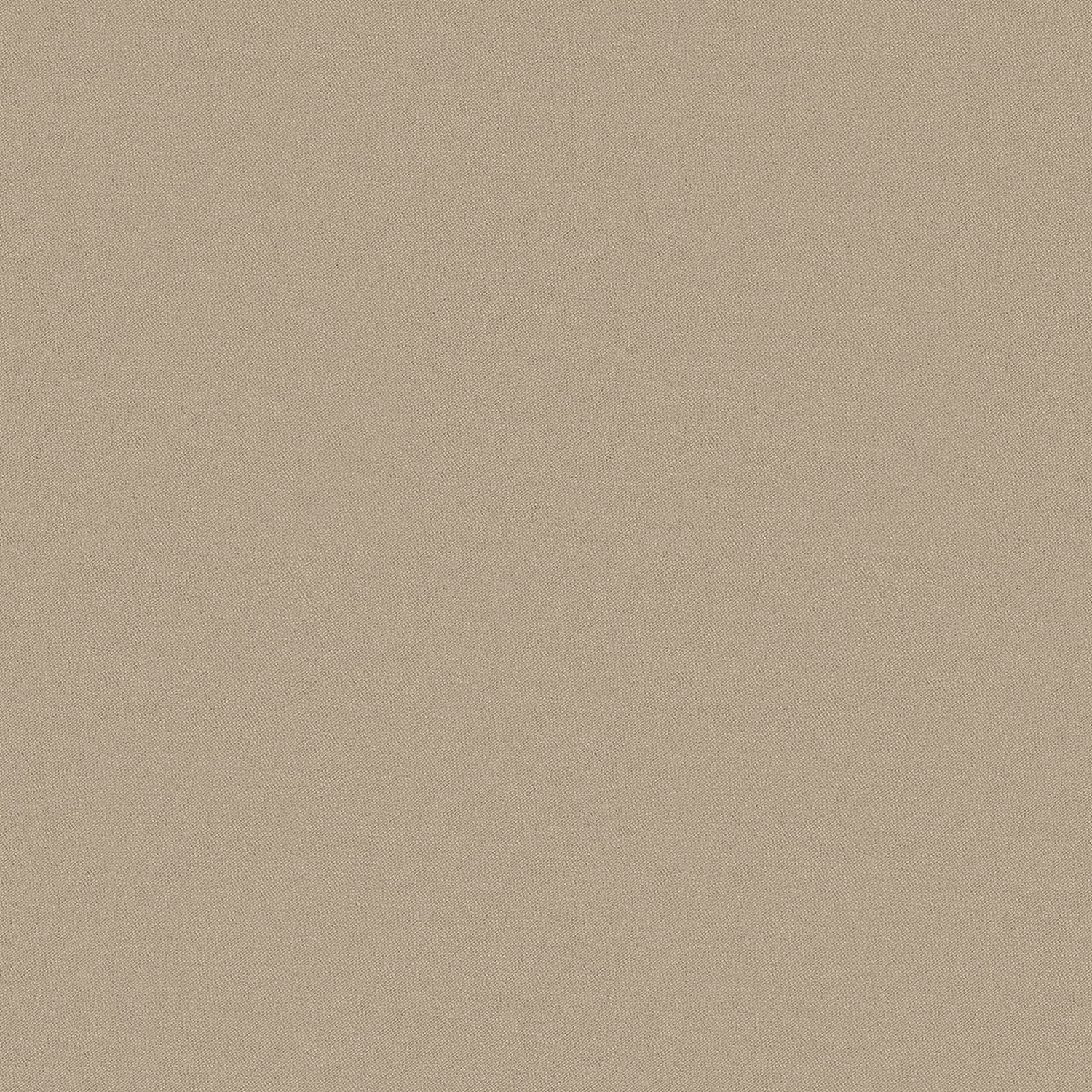 ZIGGY | CATEGORY B OATMEAL