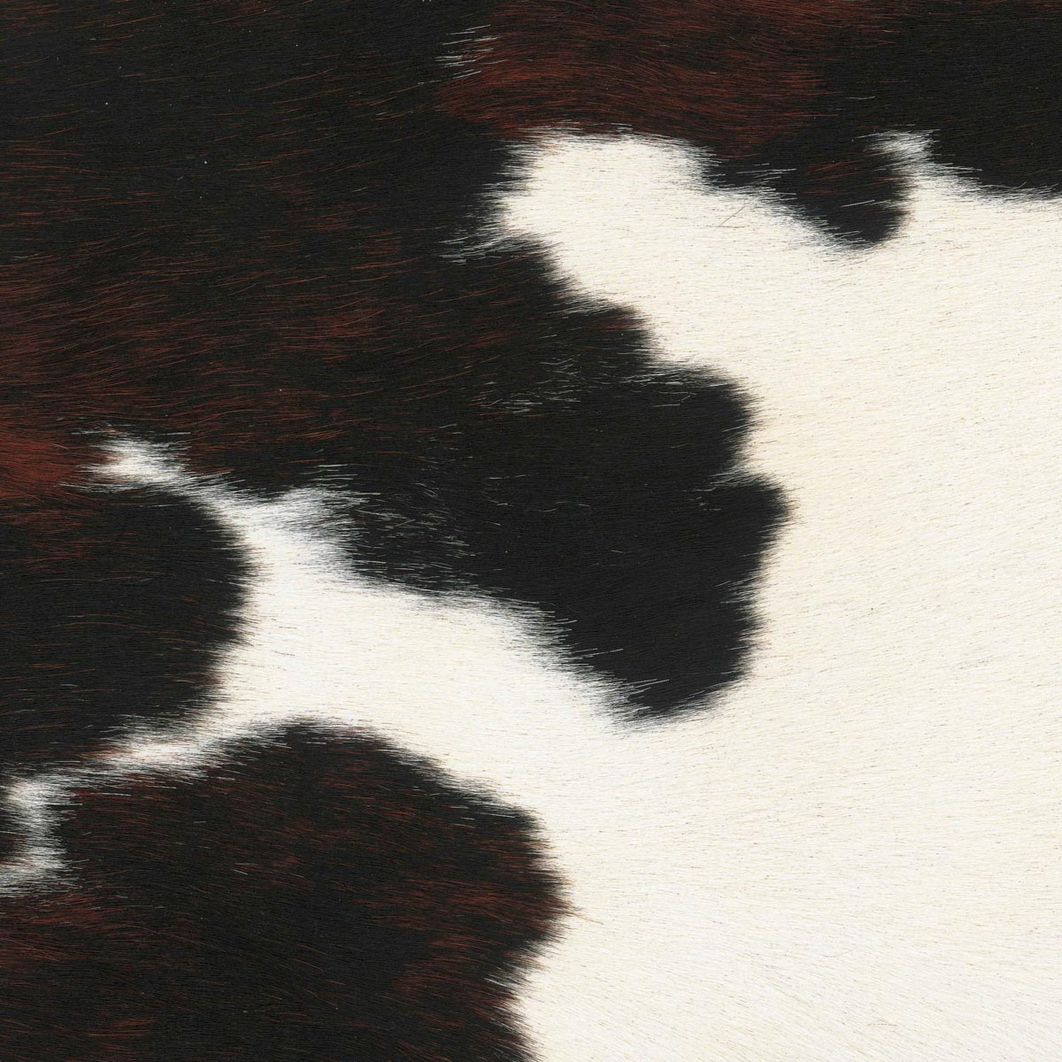 PELLE FRAU® CAVALLINO CAVALLINO