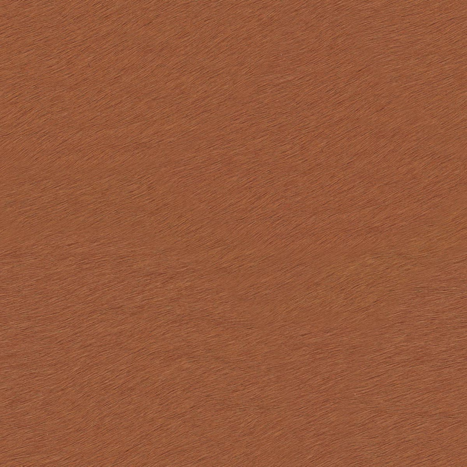 PELLE FRAU®CAVALLINO FULVO