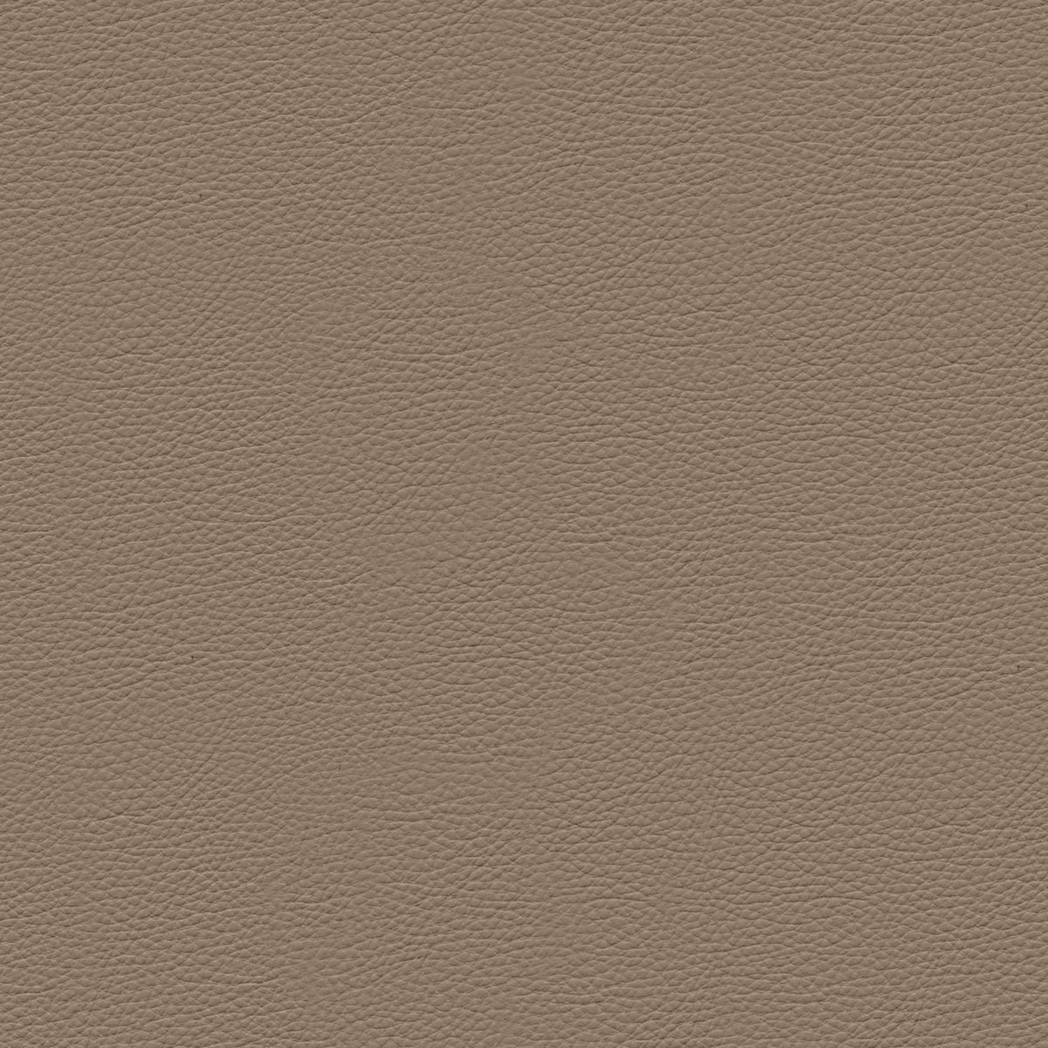 PELLE FRAU® NEST ARENARIA