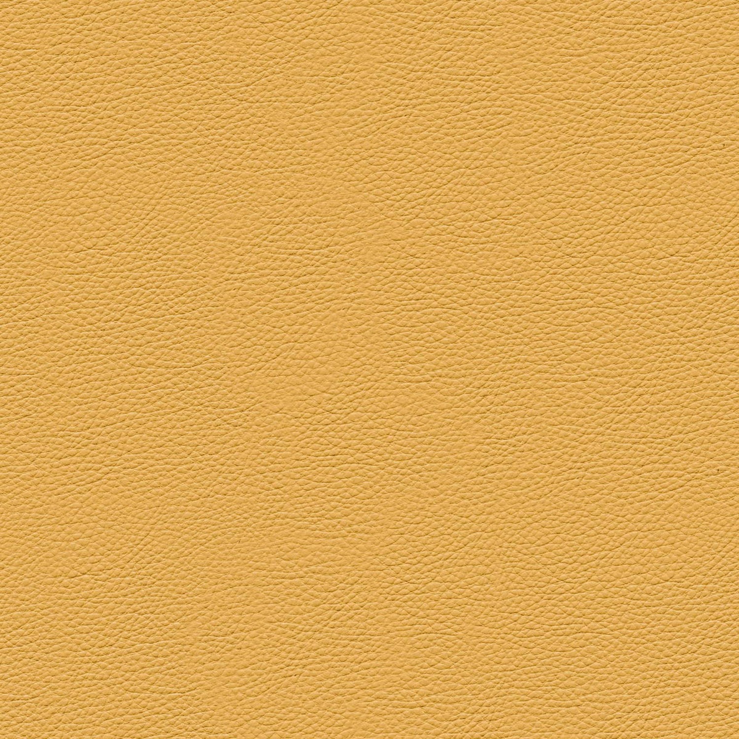 PELLE FRAU® NEST AMBRA