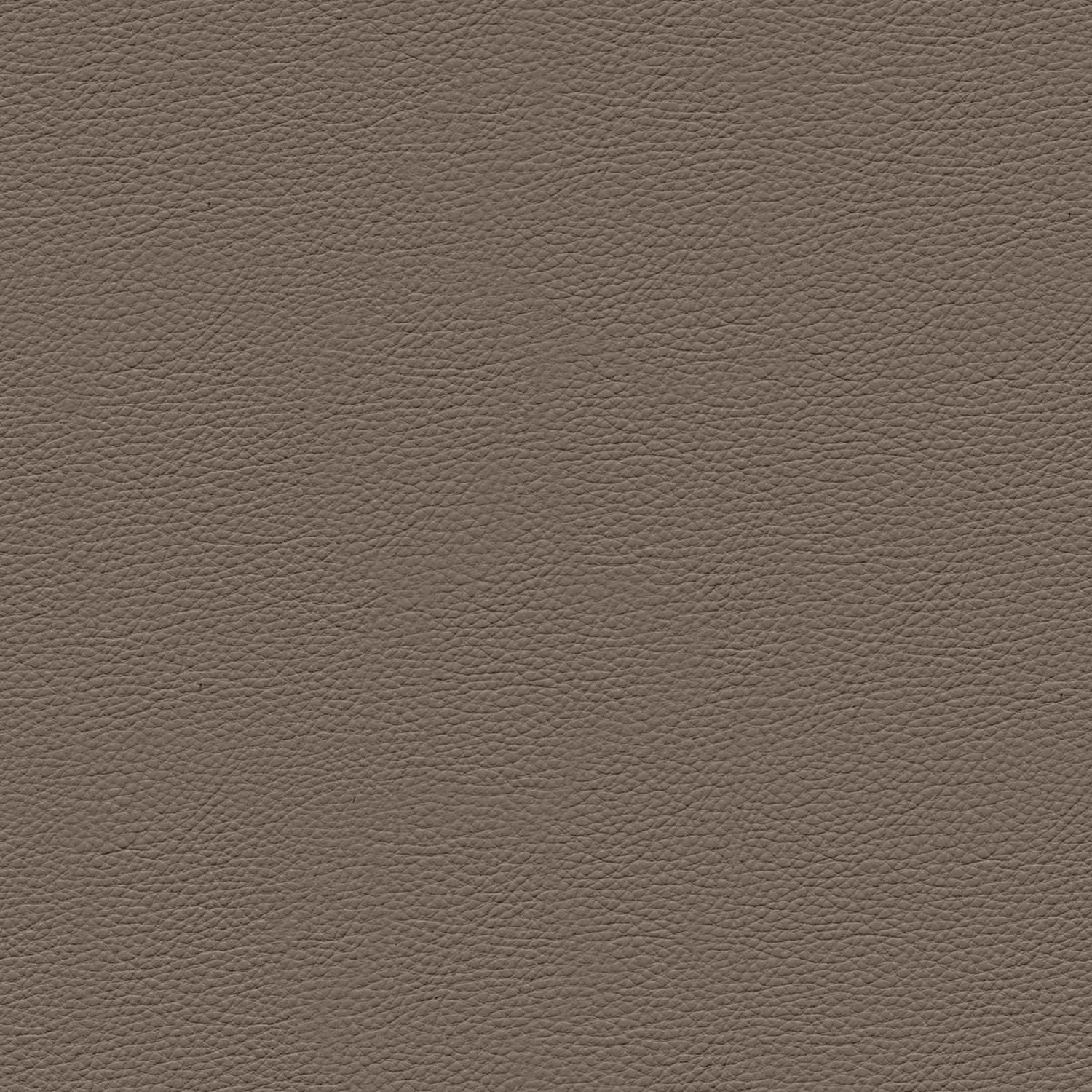 PELLE FRAU® NEST ARGILLA