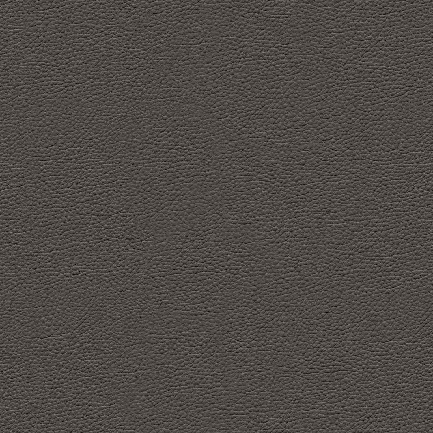 PELLE FRAU® NEST GRAFITE