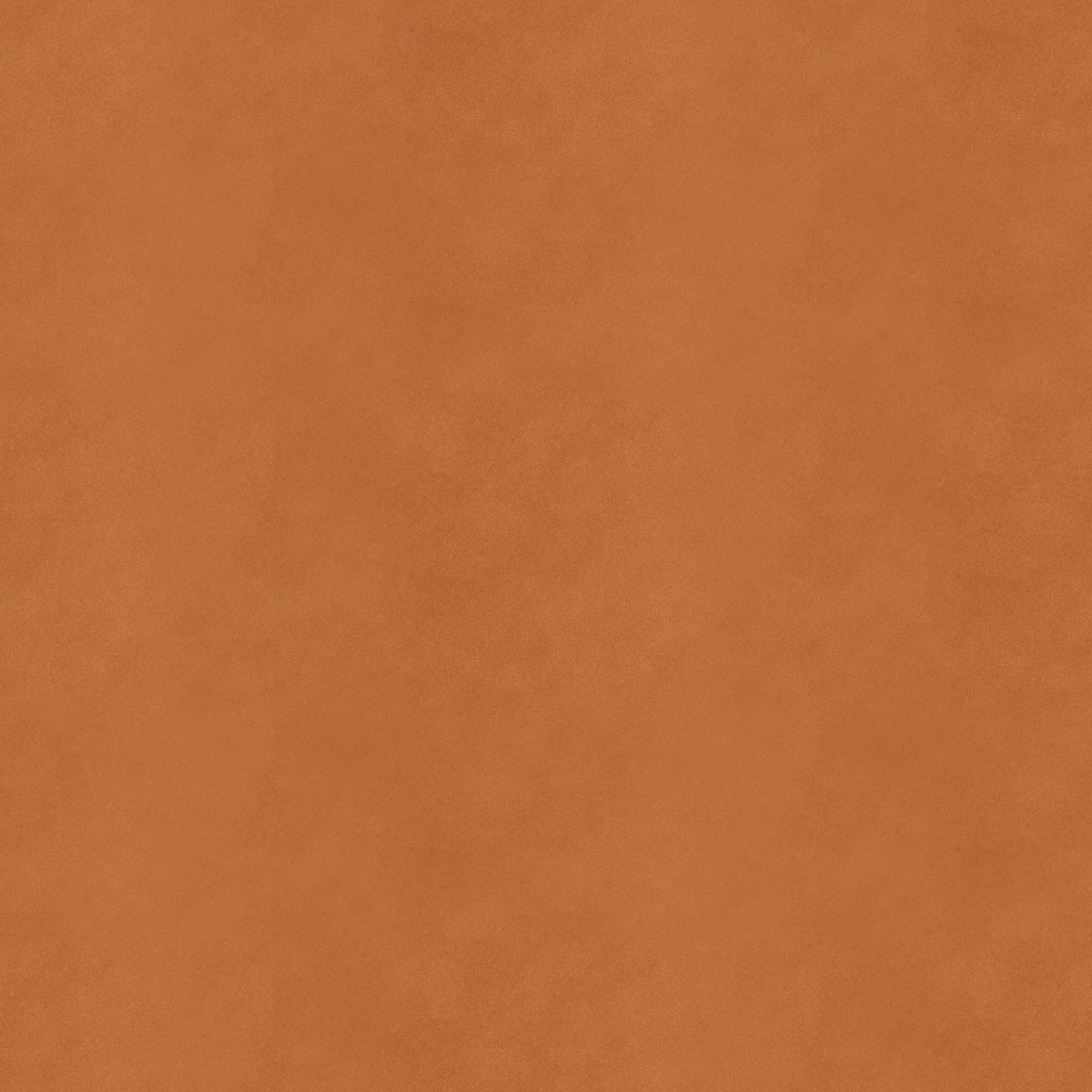 SADDLE EXTRA CAMMELLO