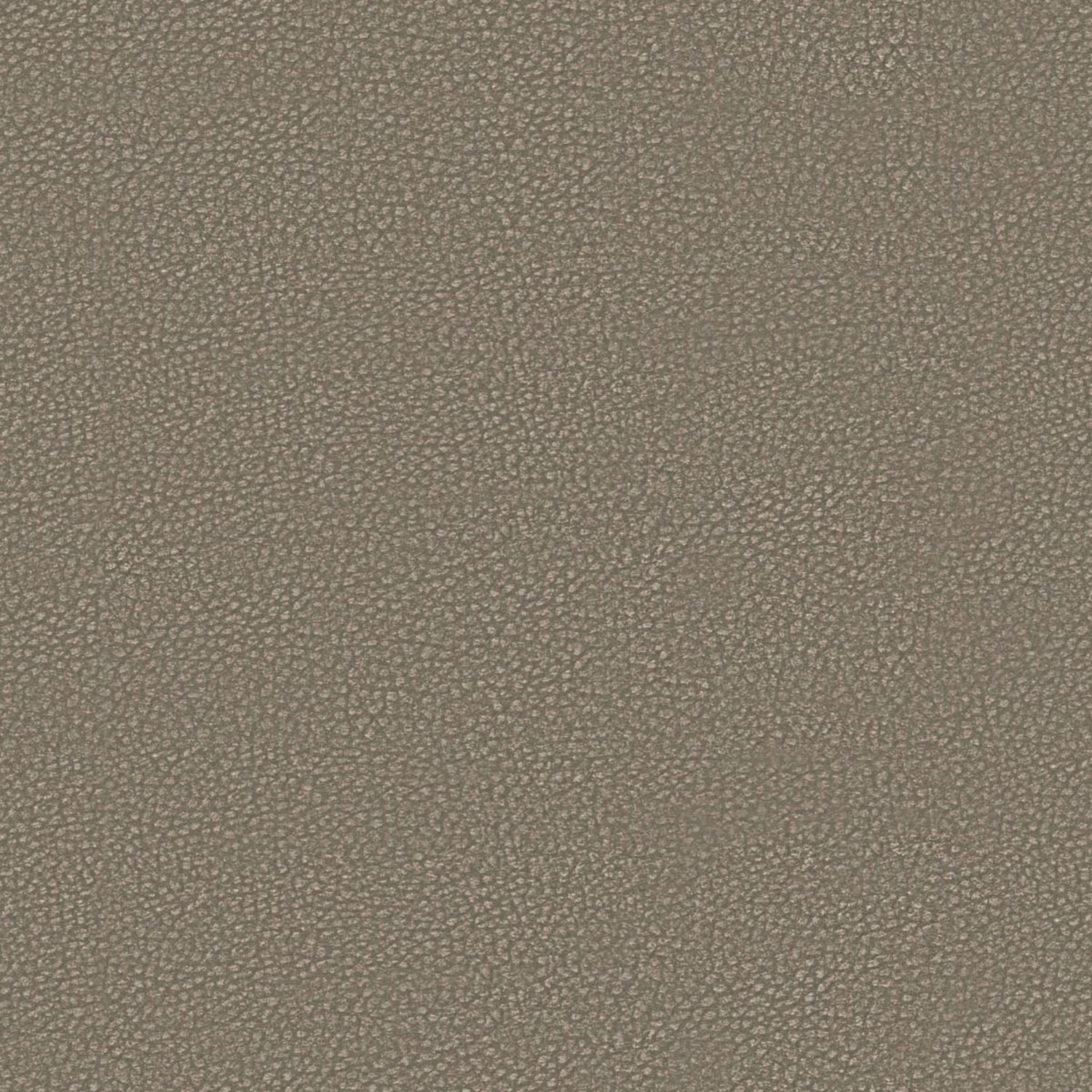 PELLE FRAU® SAFARI ORICE