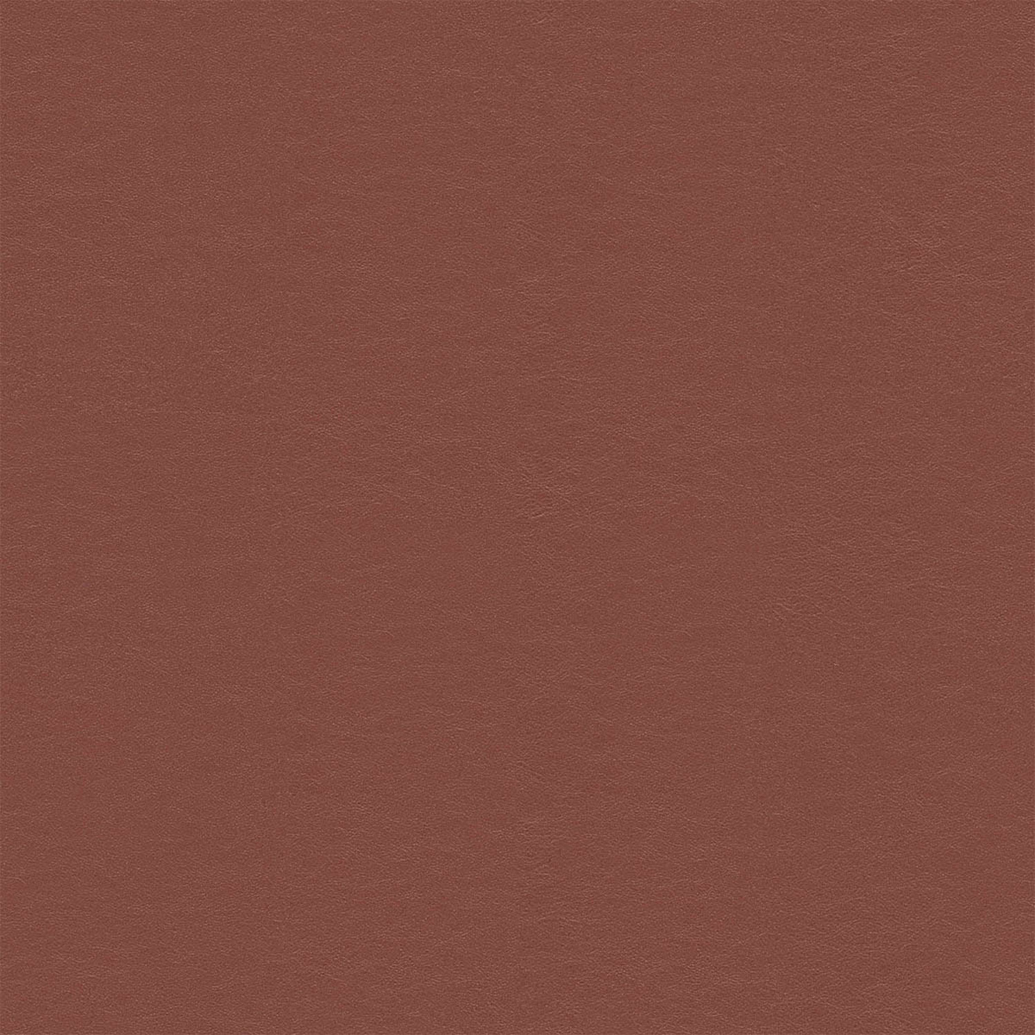 PELLE FRAU® SOULFUL DONNY