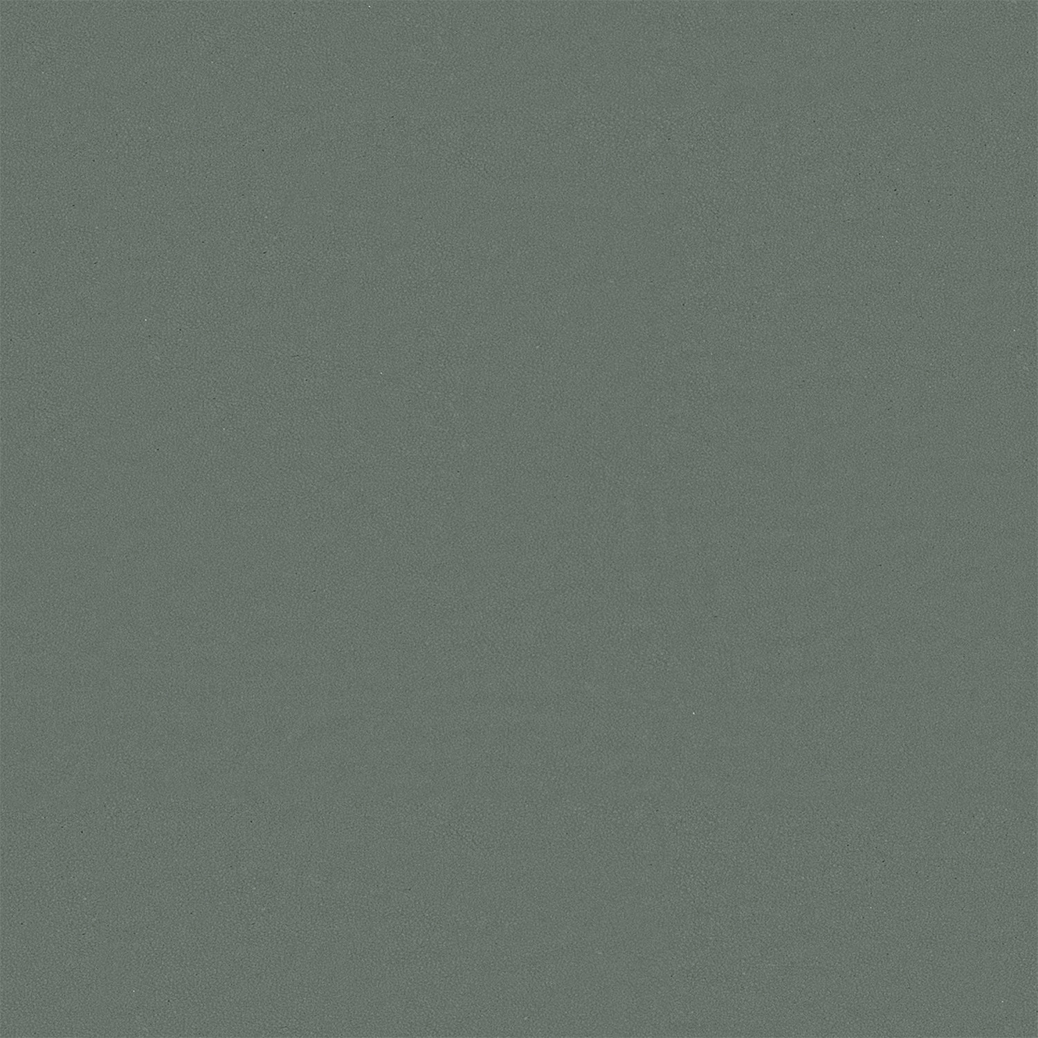 PELLE FRAU® VELVETY CLARY SAGE