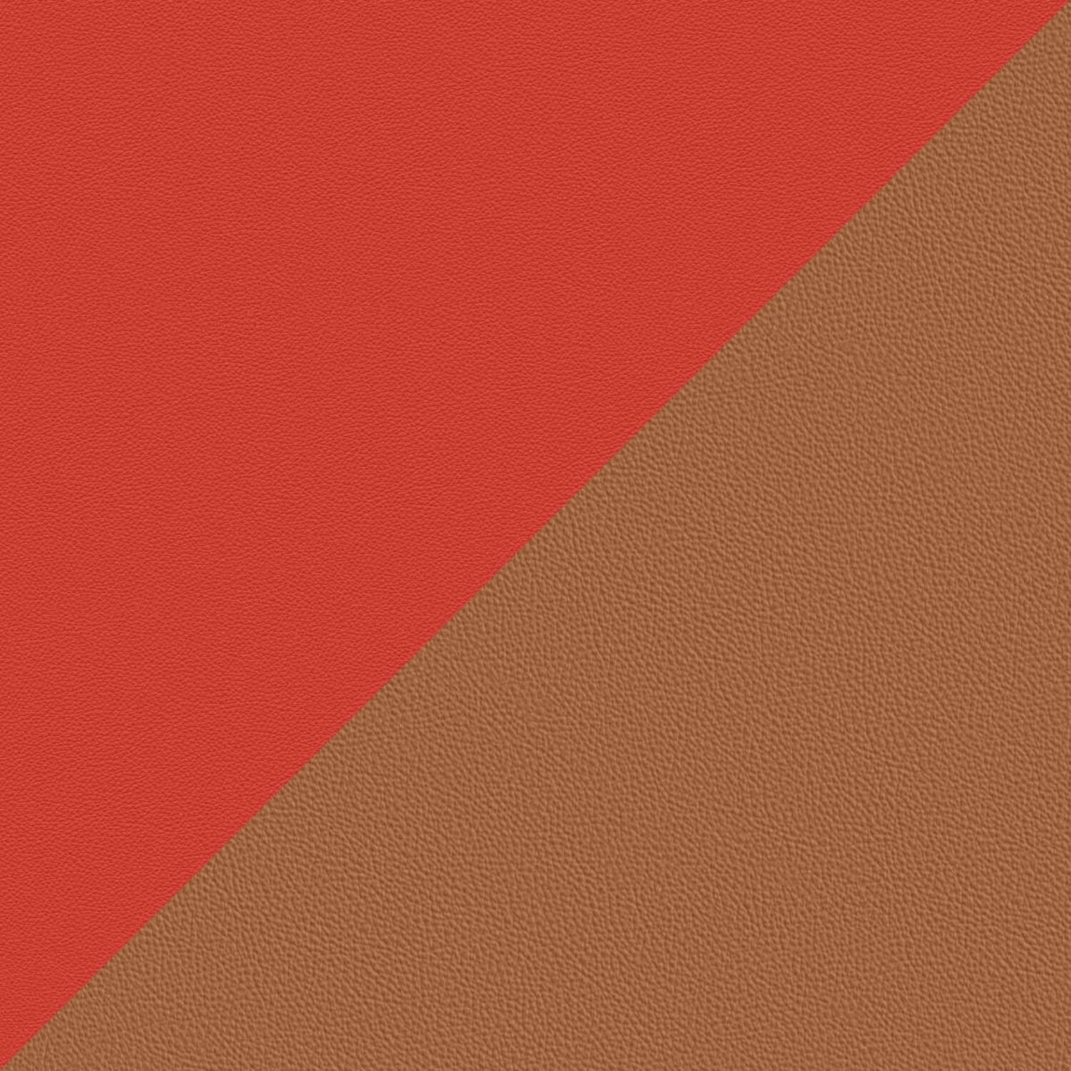 INDIA - COCCIO PESTO